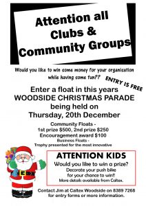 Poster - Woodside Christmas Pageant 2018